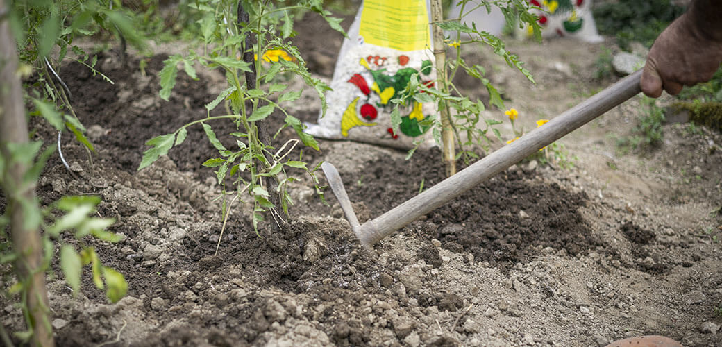 Pourquoi et comment utiliser la corne broyée en engrais au potager